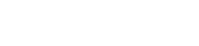 Custom Crane Systems Logo White